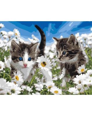 Opakowanie Malowanie po numerach - Małe kocięta 40x50