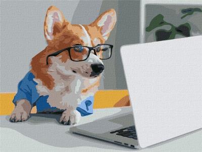 Opakowanie Malowanie po numerach - Mały biznesmen 30x40