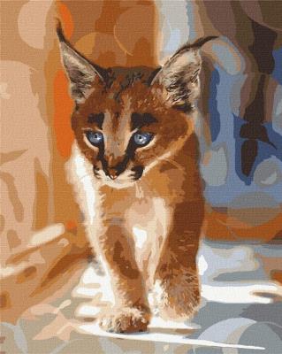 Opakowanie Malowanie po numerach - Mały karakal 40x50cm