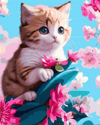 Opakowanie Malowanie po numerach Mały Kotek