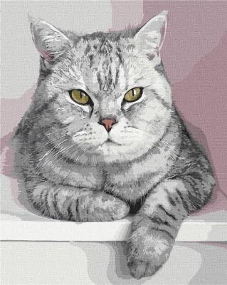 Opakowanie Malowanie po numerach - Mój futrzany przyjaciel