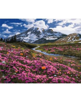 Opakowanie Malowanie po numerach - Na próbach 40x50cm