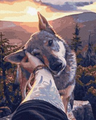 Opakowanie Malowanie po numerach Najlepszy przyjaciel