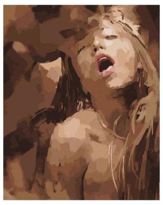 Opakowanie Malowanie po numerach - Nieokiełznana pasja 40x50