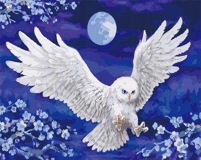 Opakowanie Malowanie po numerach - Nocna sowa 40x50cm