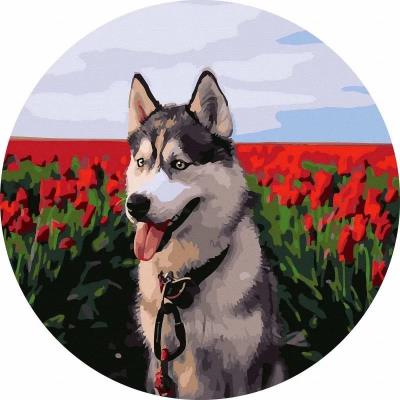 Opakowanie Malowanie po numerach okrągłe - Husky tulipany 40