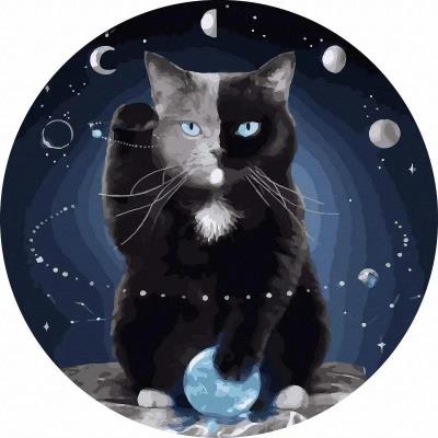 Opakowanie Malowanie po numerach okrągłe - Kot w kosmosie 40