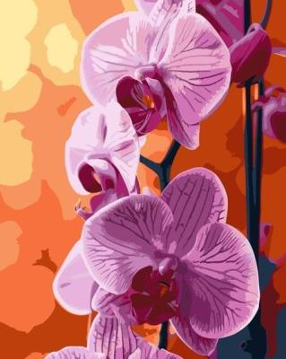 Opakowanie Malowanie po numerach - Orchidea 40x50cm