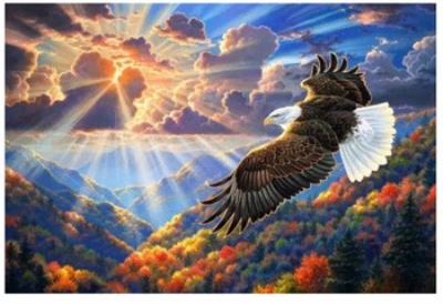 Opakowanie Malowanie po numerach Orzeł w chmurach