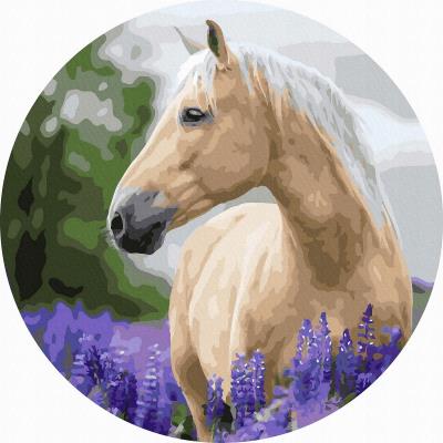 Opakowanie Malowanie po numerach owalne Koń w lawendzie