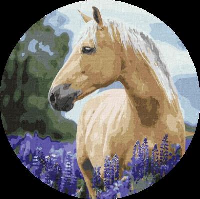 Opakowanie Malowanie po numerach owalne Koń w lawendzie