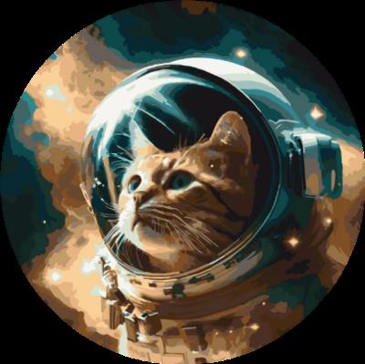 Opakowanie Malowanie po numerach owalne Kosmos