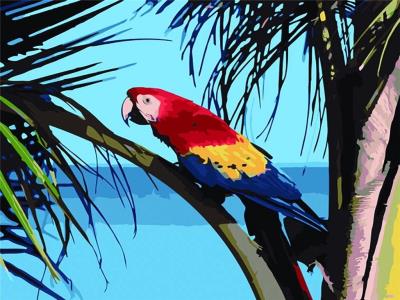 Opakowanie Malowanie po numerach - Papuga 30x40cm