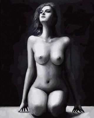 Opakowanie Malowanie po numerach - Piękno ciała 40x50cm