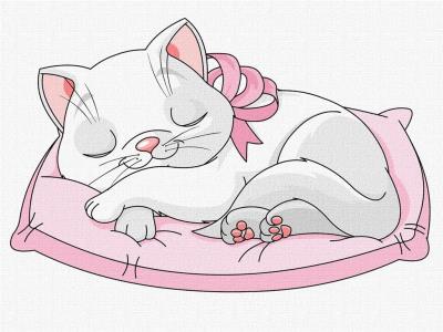 Opakowanie Malowanie po numerach - Piękny kotek 30x40cm