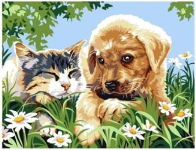 Opakowanie Malowanie po numerach Piesek z kotkiem śpiący na łące