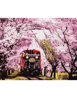 Opakowanie Malowanie po numerach - Pociąg na wiosnę 40x50cm
