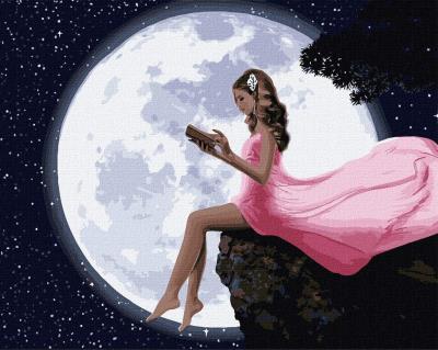 Opakowanie Malowanie po numerach - Pod księżycem 40x50cm