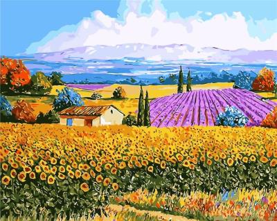 Opakowanie Malowanie po numerach - Pole kwiatowe 40x50cm