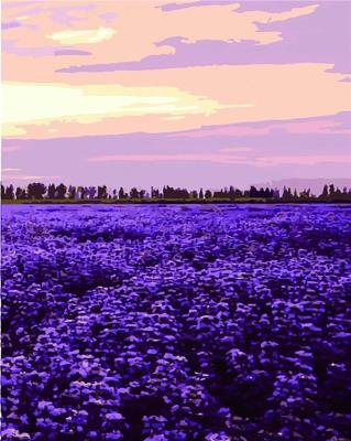 Opakowanie Malowanie po numerach - Południe Francji 40x50cm