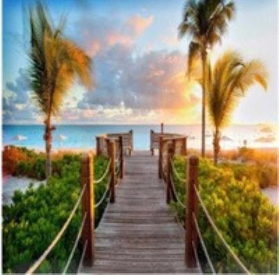 Opakowanie Malowanie po numerach Pomost palmy