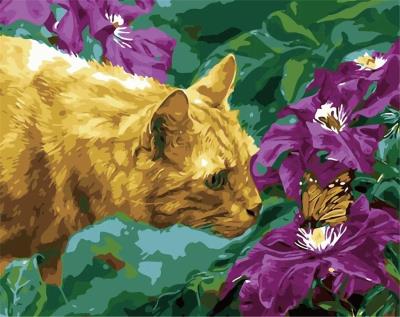 Opakowanie Malowanie po numerach - Poznajmy się 40x50cm