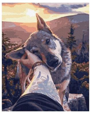 Opakowanie Malowanie po numerach - Przyjaciel 40x50cm