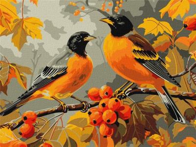 Opakowanie Malowanie po numerach - Ptaki w ogrodzie 30x40cm