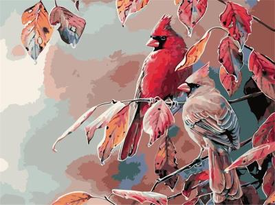 Opakowanie Malowanie po numerach - Ptaszki 30x40cm