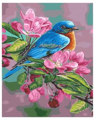 Opakowanie Malowanie po numerach - Ptaszyna 40x50cm