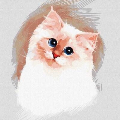 Opakowanie Malowanie po numerach - Puszysta chmura 30x30cm