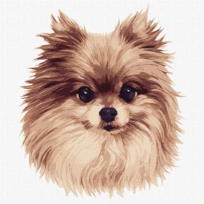 Opakowanie Malowanie po numerach - Puszyste dzikie 30x30cm