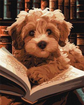 Opakowanie Malowanie po numerach - Puszysty czytelnik 40x50cm