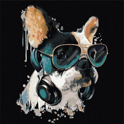 Opakowanie Malowanie po numerach - Puszysty DJ 40x40cm