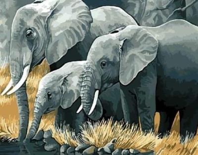 Opakowanie Malowanie po numerach - Rodzina słoni 40x50cm