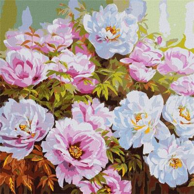 Opakowanie Malowanie po numerach - Różnorodność piwonii 50x50