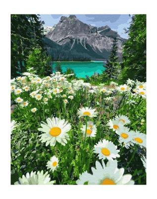 Opakowanie Malowanie po numerach - Rumianki w górach 40x50 cm