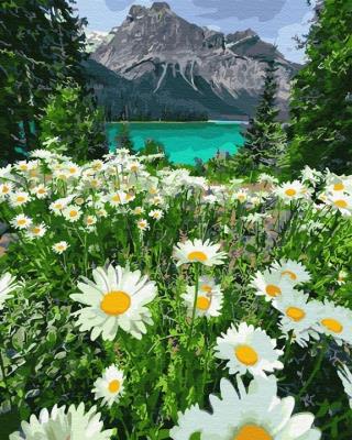 Opakowanie Malowanie po numerach Rumianki w górach