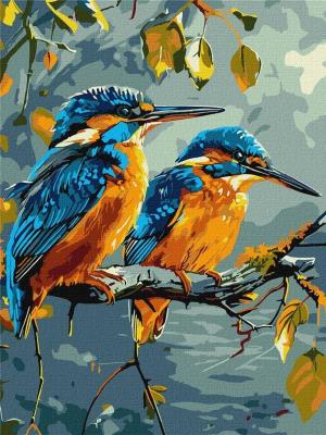 Opakowanie Malowanie po numerach - Skarby natury 30x40cm