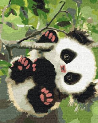 Opakowanie Malowanie po numerach Słodka panda 40x50cm
