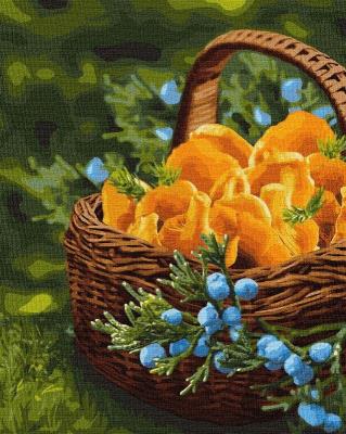 Opakowanie Malowanie po numerach - Słońce w koszyku 40x50cm