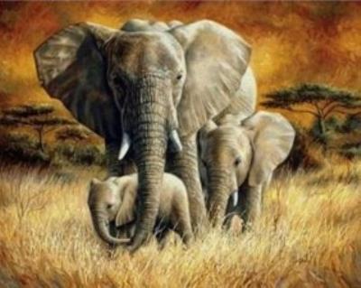 Opakowanie Malowanie po numerach Słonie rodzina w Afryce