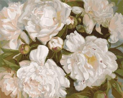 Opakowanie Malowanie po numerach - Śnieżnobiałe.. 40x50cm