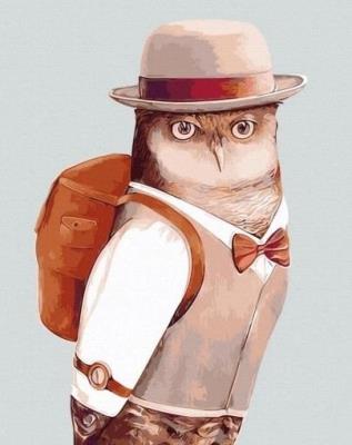 Opakowanie Malowanie po numerach - Solidna sowa 40x50cm