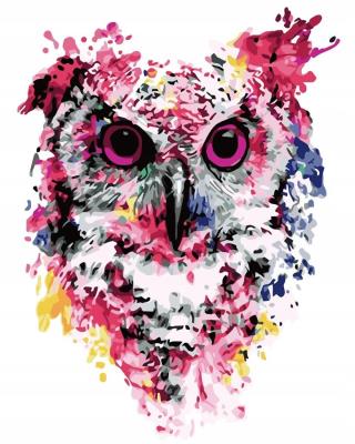 Opakowanie Malowanie po numerach - Sowa 40x50cm