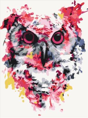 Opakowanie Malowanie po numerach - Sowa w kolorach