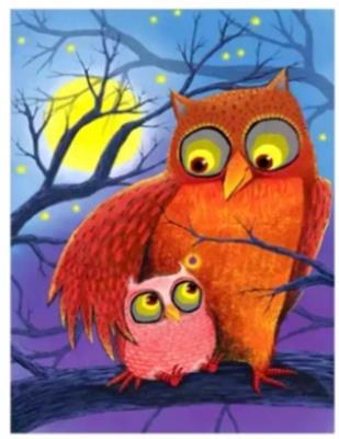 Opakowanie Malowanie po numerach Sowy na drzewie