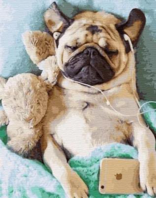 Opakowanie Malowanie po numerach - Śpiący mops 40x50cm