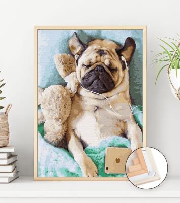 Opakowanie Malowanie po numerach Śpiący mops