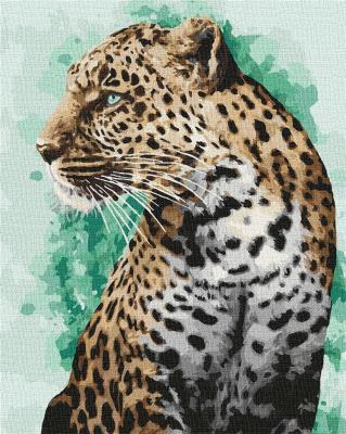 Malowanie po numerach - Spojrzenie 40x50cm. Wydawca: Ideyka. SmakLiter.pl Opakowanie Malowanie po numerach - Spojrzenie 40x50cm